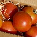 Ramallet tomatoes 600 g box